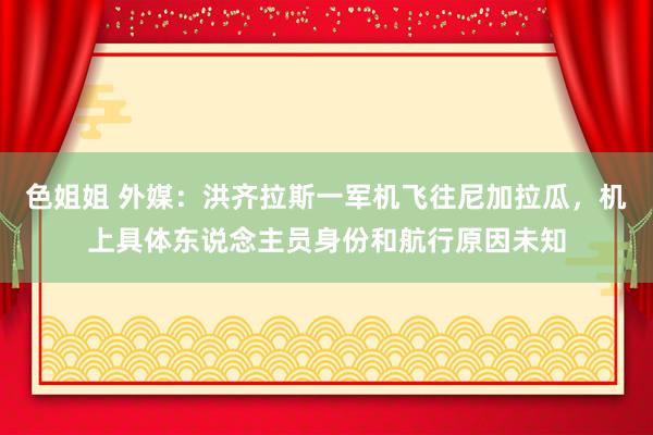 色姐姐 外媒：洪齐拉斯一军机飞往尼加拉瓜，机上具体东说念主员身份和航行原因未知