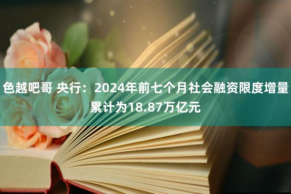 色越吧哥 央行：2024年前七个月社会融资限度增量累计为18.87万亿元