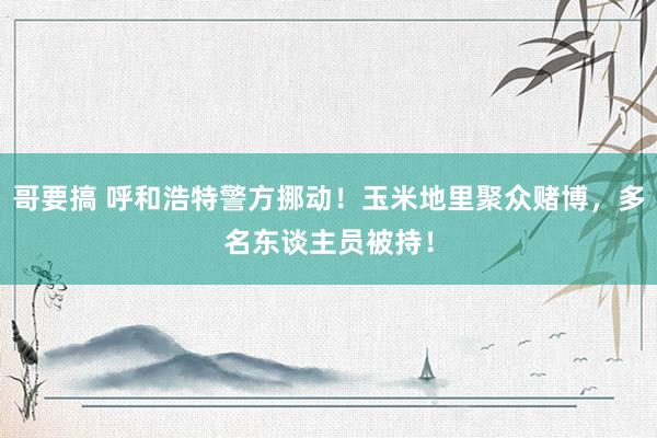 哥要搞 呼和浩特警方挪动！玉米地里聚众赌博，多名东谈主员被持！