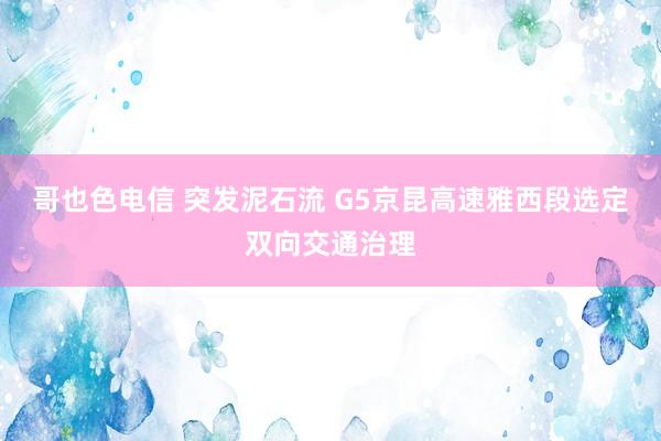 哥也色电信 突发泥石流 G5京昆高速雅西段选定双向交通治理