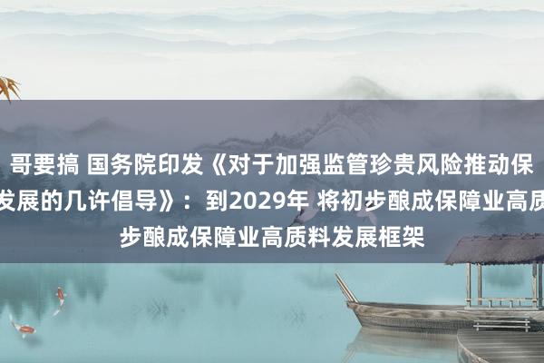 哥要搞 国务院印发《对于加强监管珍贵风险推动保障业高质料发展的几许倡导》：到2029年 将初步酿成保障业高质料发展框架