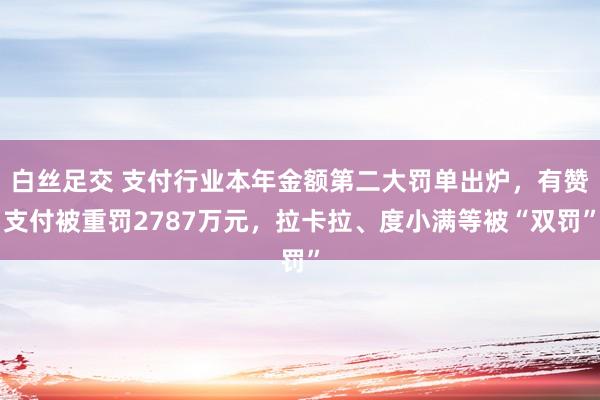 白丝足交 支付行业本年金额第二大罚单出炉，有赞支付被重罚2787万元，拉卡拉、度小满等被“双罚”