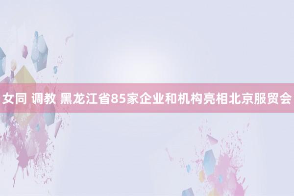 女同 调教 黑龙江省85家企业和机构亮相北京服贸会