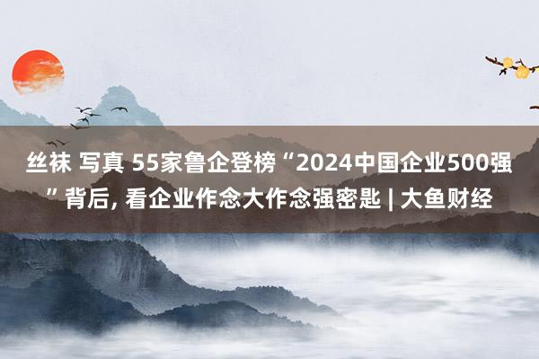 丝袜 写真 55家鲁企登榜“2024中国企业500强”背后， 看企业作念大作念强密匙 | 大鱼财经