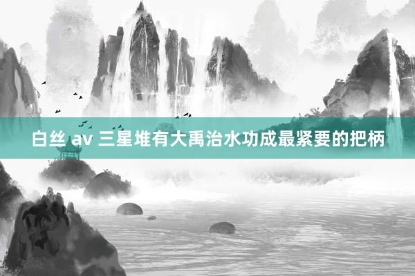 白丝 av 三星堆有大禹治水功成最紧要的把柄