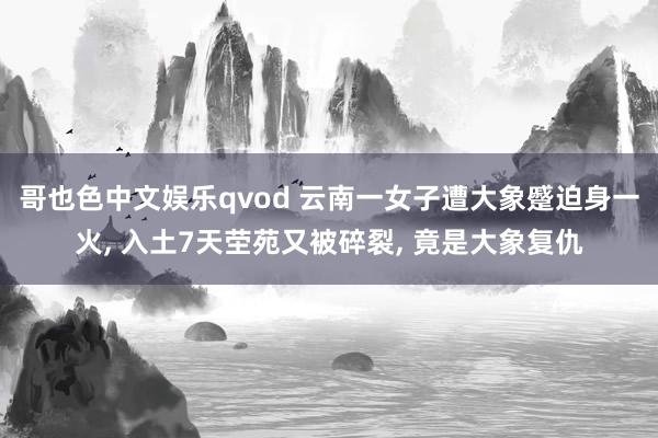 哥也色中文娱乐qvod 云南一女子遭大象蹙迫身一火， 入土7天茔苑又被碎裂， 竟是大象复仇