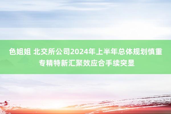 色姐姐 北交所公司2024年上半年总体规划慎重 专精特新汇聚效应合手续突显