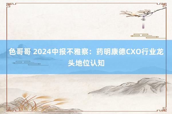 色哥哥 2024中报不雅察：药明康德CXO行业龙头地位认知