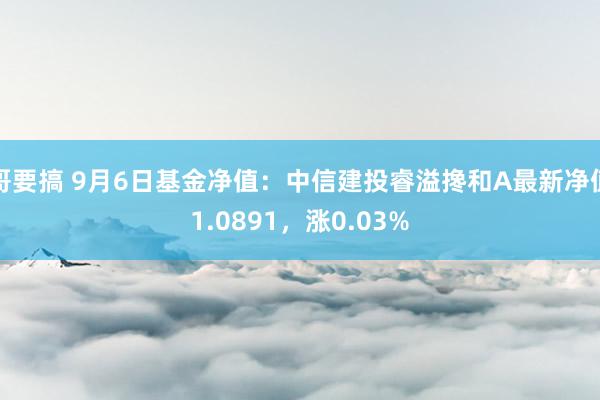 哥要搞 9月6日基金净值：中信建投睿溢搀和A最新净值1.0891，涨0.03%