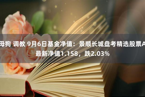 母狗 调教 9月6日基金净值：景顺长城盘考精选股票A最新净值1.158，跌2.03%