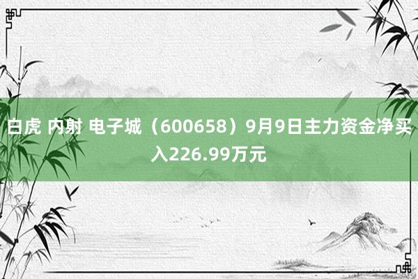 白虎 内射 电子城（600658）9月9日主力资金净买入226.99万元