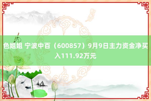 色姐姐 宁波中百（600857）9月9日主力资金净买入111.92万元