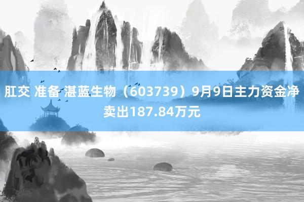 肛交 准备 湛蓝生物（603739）9月9日主力资金净卖出187.84万元