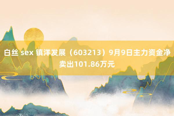 白丝 sex 镇洋发展（603213）9月9日主力资金净卖出101.86万元