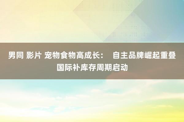 男同 影片 宠物食物高成长：  自主品牌崛起重叠国际补库存周期启动