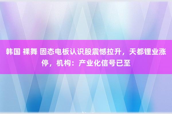 韩国 裸舞 固态电板认识股震憾拉升，天都锂业涨停，机构：产业化信号已至