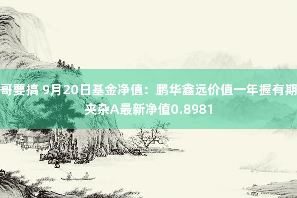 哥要搞 9月20日基金净值：鹏华鑫远价值一年握有期夹杂A最新净值0.8981