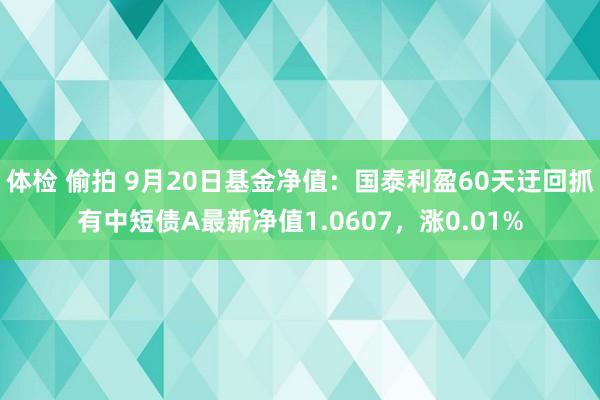 体检 偷拍 9月20日基金净值：国泰利盈60天迂回抓有中短债A最新净值1.0607，涨0.01%