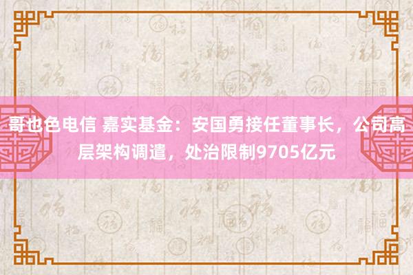 哥也色电信 嘉实基金：安国勇接任董事长，公司高层架构调遣，处治限制9705亿元