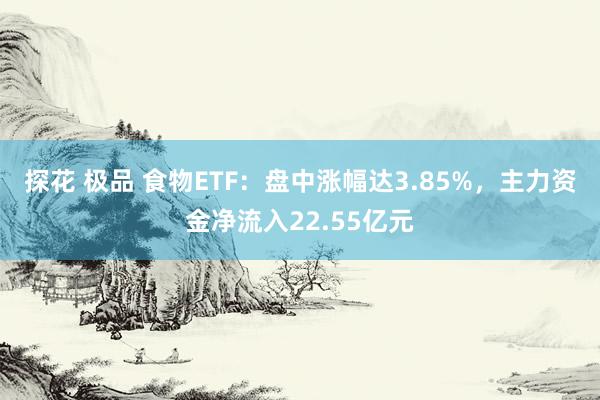 探花 极品 食物ETF：盘中涨幅达3.85%，主力资金净流入22.55亿元