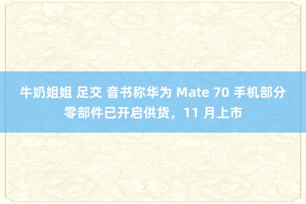 牛奶姐姐 足交 音书称华为 Mate 70 手机部分零部件已开启供货，11 月上市