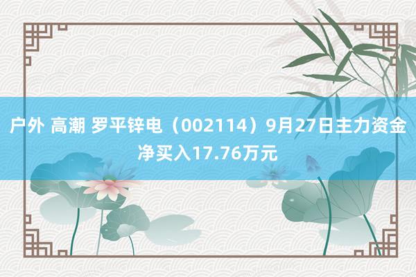 户外 高潮 罗平锌电（002114）9月27日主力资金净买入17.76万元