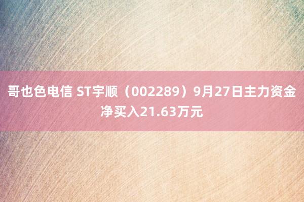 哥也色电信 ST宇顺（002289）9月27日主力资金净买入21.63万元