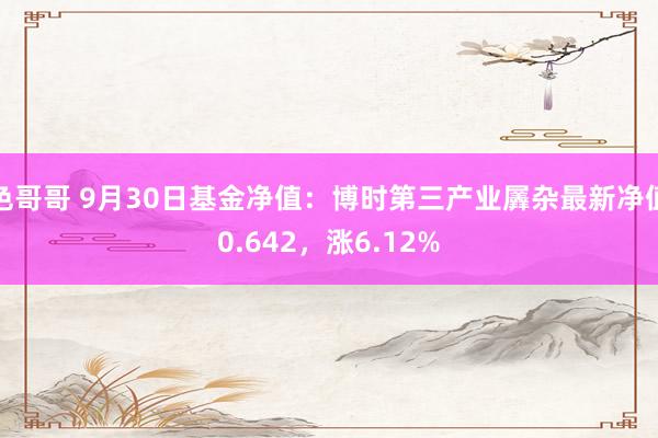 色哥哥 9月30日基金净值：博时第三产业羼杂最新净值0.642，涨6.12%