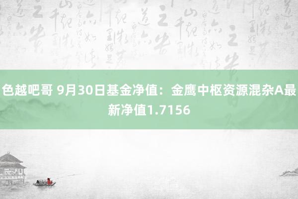 色越吧哥 9月30日基金净值：金鹰中枢资源混杂A最新净值1.7156