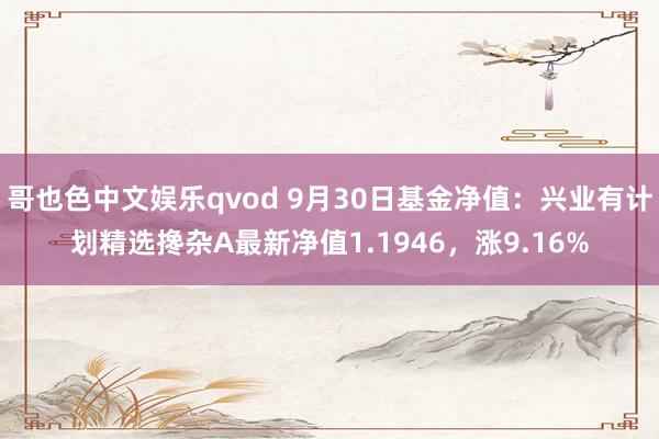 哥也色中文娱乐qvod 9月30日基金净值：兴业有计划精选搀杂A最新净值1.1946，涨9.16%