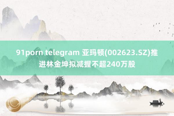 91porn telegram 亚玛顿(002623.SZ)推进林金坤拟减握不超240万股