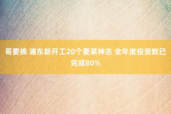 哥要搞 浦东新开工20个要紧神志 全年度投资数已完成80%