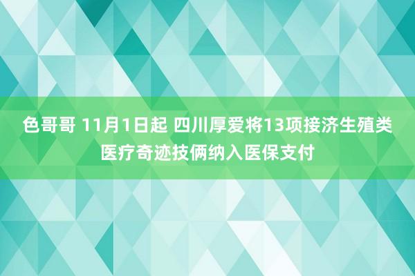 色哥哥 11月1日起 四川厚爱将13项接济生殖类医疗奇迹技俩纳入医保支付