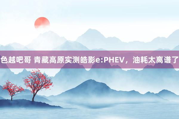 色越吧哥 青藏高原实测皓影e:PHEV，油耗太离谱了