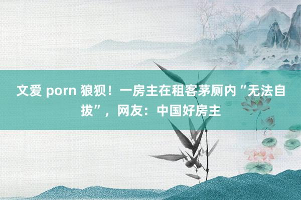 文爱 porn 狼狈！一房主在租客茅厕内“无法自拔”，网友：中国好房主