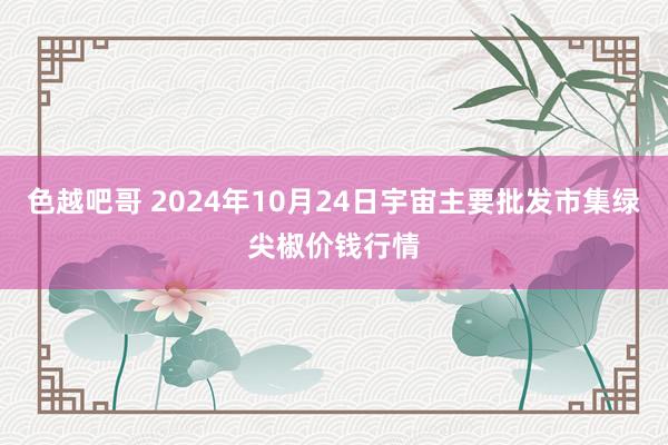 色越吧哥 2024年10月24日宇宙主要批发市集绿尖椒价钱行情