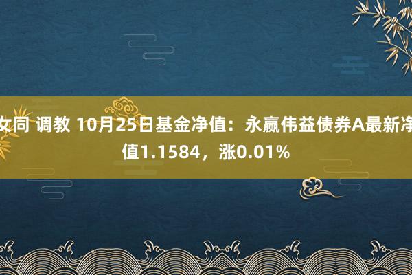 女同 调教 10月25日基金净值：永赢伟益债券A最新净值1.1584，涨0.01%