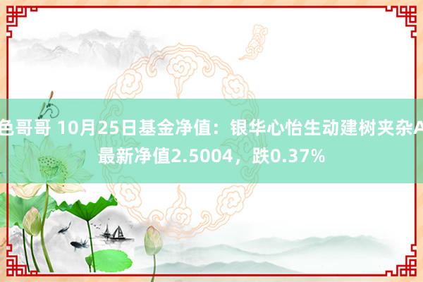 色哥哥 10月25日基金净值：银华心怡生动建树夹杂A最新净值2.5004，跌0.37%