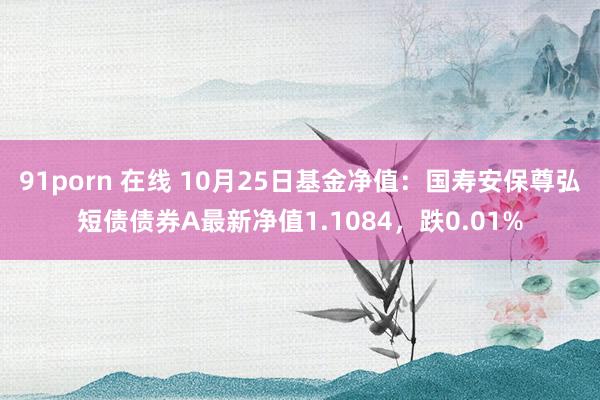 91porn 在线 10月25日基金净值：国寿安保尊弘短债债券A最新净值1.1084，跌0.01%