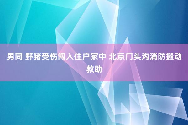 男同 野猪受伤闯入住户家中 北京门头沟消防搬动救助