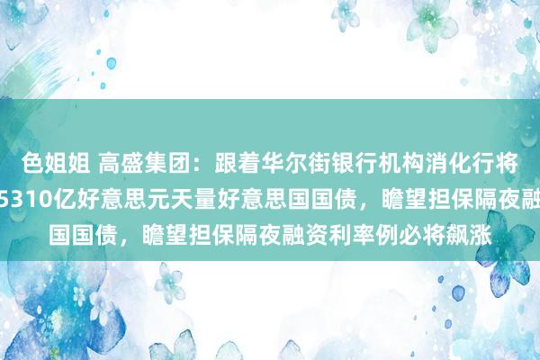 色姐姐 高盛集团：跟着华尔街银行机构消化行将于周四出现新增的5310亿好意思元天量好意思国国债，瞻望担保隔夜融资利率例必将飙涨