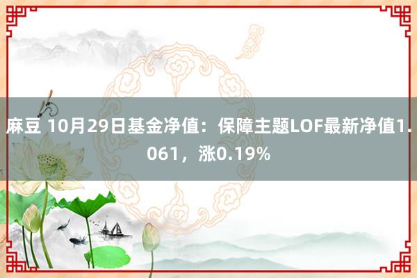 麻豆 10月29日基金净值：保障主题LOF最新净值1.061，涨0.19%