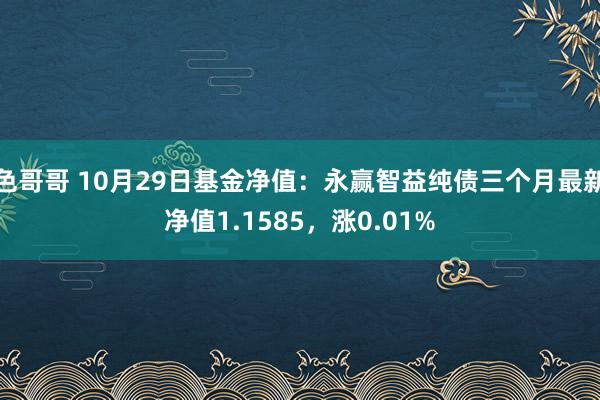 色哥哥 10月29日基金净值：永赢智益纯债三个月最新净值1.1585，涨0.01%