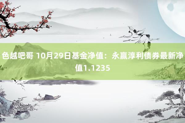 色越吧哥 10月29日基金净值：永赢淳利债券最新净值1.1235