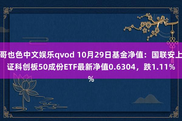 哥也色中文娱乐qvod 10月29日基金净值：国联安上证科创板50成份ETF最新净值0.6304，跌1.11%