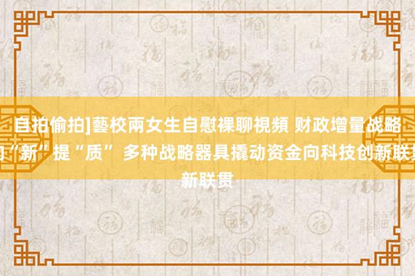 自拍偷拍]藝校兩女生自慰裸聊視頻 财政增量战略向“新”提“质” 多种战略器具撬动资金向科技创新联贯