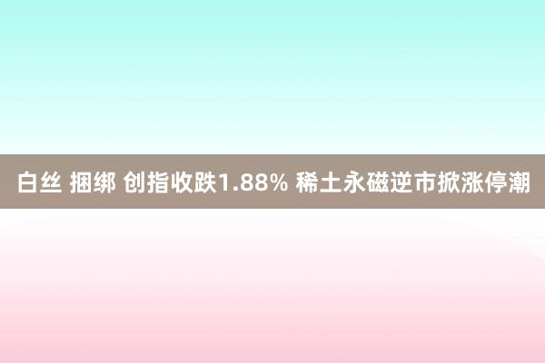 白丝 捆绑 创指收跌1.88% 稀土永磁逆市掀涨停潮