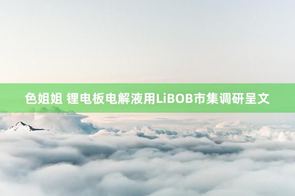 色姐姐 锂电板电解液用LiBOB市集调研呈文