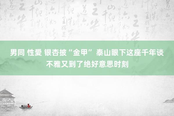 男同 性愛 银杏披“金甲” 泰山眼下这座千年谈不雅又到了绝好意思时刻