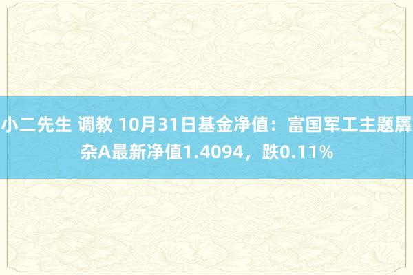 小二先生 调教 10月31日基金净值：富国军工主题羼杂A最新净值1.4094，跌0.11%